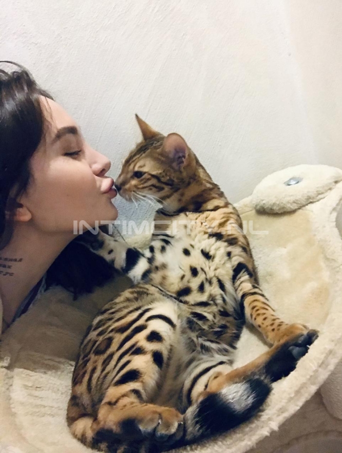 проститутка Арина, анкета 387370, 24 года, метро Кунцевская, цена от 15к/час