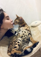 Путана Арина (24), Кунцевская, 15,000 ₽ час, Окончание на грудь, Окончание в рот, тел +7(951)973-42-02